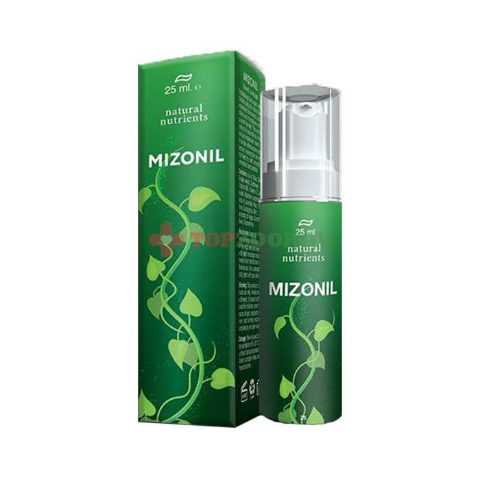 Mizonil (Мизонил) в Кивиыли
