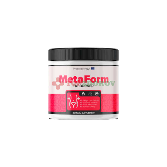 MetaForm 